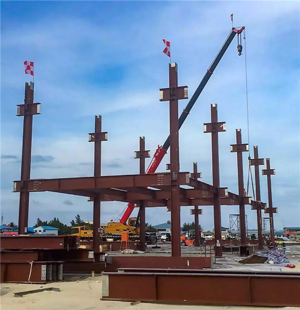 1553578687227570.jpg 7_副本.jpg