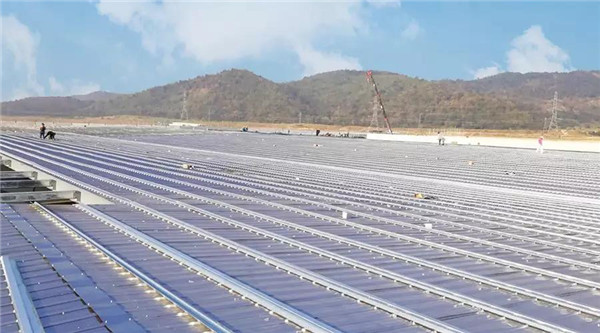 1553649027265686.jpg 3_副本.jpg