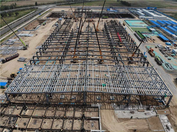 1564970666208218.jpg 2.jpg